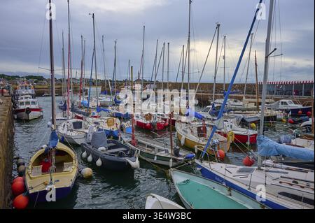 Kleiner Hafen mit zahlreichen Segelbooten und Yachten unter bewölktem Himmel, North Berwick, East Lothian, Schottland, Vereinigtes Königreich, Großbritannien Stockfoto