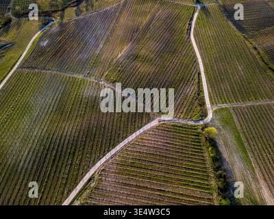 Von oben nach unten aus der Vogelperspektive mit geometrischen Mustern der Weinberge auf den Oltrepo Pavese Hügeln. Das niedrige Licht bei Sonnenuntergang erzeugt starke Kontraste und lange Stockfoto