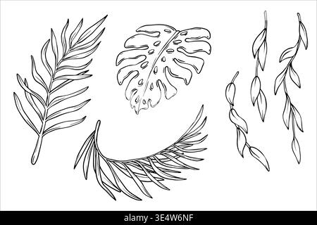 Eine Reihe von Schwarz-weiß-Vektor-Illustrationen tropischer Pflanzen. Tropische Blätter im Stil von Line Art. Vektor-Illustration exotische tropische Pflanzen Stock Vektor