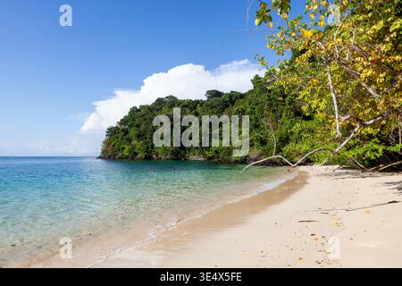 Koh Kradan Strand mit türkisfarbenem Wasser und üppigem Grün. Sandstrand trifft auf dichten tropischen Wald unter einem klaren blauen Himmel. Stockfoto