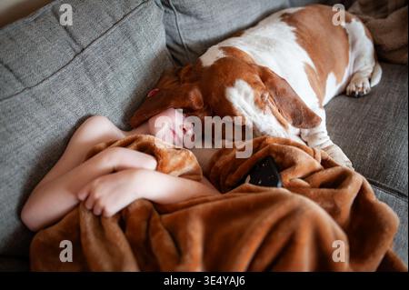 Baby Kuschelbasset Hund unter Decke auf gemütlichem Sofa Stockfoto