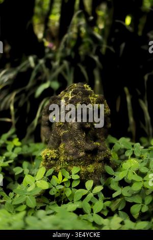 Alte Moos bedeckte Stein Ganesha Statue im tropischen Garten Stockfoto