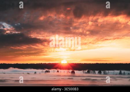 Helle Sonne untergeht hinter einem dunklen Wald über einem nebeligen Feld Stockfoto