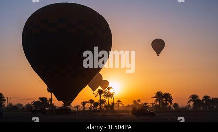 Großer karierter Heißluftballon mit Silhouette vor einem goldenen Sonnenaufgang, andere Ballons steigen hinter Palmen auf, Luxor, Ägypten Stockfoto