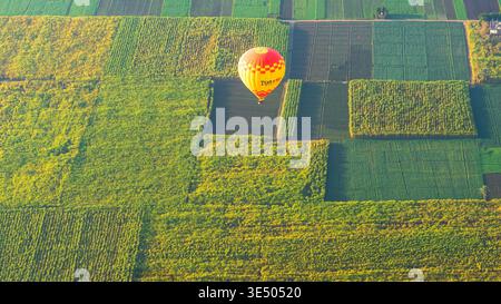 Roter Heißluftballon, der über Zuckerrohr und grüne Felder schwimmt, Luxor, Ägypten Stockfoto