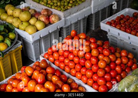 Frisch geerntete Tomaten und Granatäpfel füllen weiße Kisten auf einem geschäftigen Bauernmarkt. Leuchtend rote Tomaten glitzern unter Sonnenlicht, hoch aufgehäuft Stockfoto