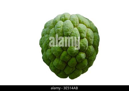 Einzelner Pudding-Apfel auf einem isolierten Hintergrund Stockfoto