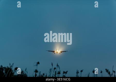 Das Flugzeug landet in der Abenddämmerung mit hellen Landungslichtern, die den Himmel beleuchten, mit Silhouetten versehenem Gras und Bäumen im Vordergrund, die eine dramatische Szene schaffen Stockfoto