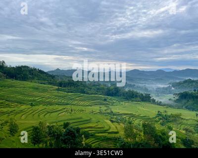 Grüne landwirtschaftliche Terrassen vor kontrastierendem, bewölktem Hintergrund. Dramatische Beleuchtung über einer traditionellen Bauernlandschaft Stockfoto
