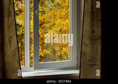 Ein weiß gerahmtes Fenster mit Blick auf leuchtend gelbe Blätter draußen im Herbst, mit braunen Vorhängen auf beiden Seiten und einem dekorativen Metallelement auf der Th Stockfoto