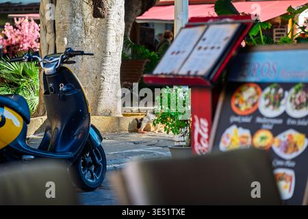 Eine schmutzige schwarz-weiße Streunerkatze frisst Futter, das draußen gegenüber einem Straßencafé in der farbenfrohen Altstadt von Rhodos, Griechenland, auf Rhodos liegt. Stockfoto
