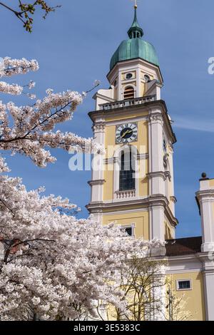 Die Kirschblüte blüht im Frühjahr vor der römisch-katholischen Kirche St. Joseph in Maxvorstadt, München, Bayern. Stockfoto