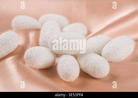 Seidenraupenkokons auf drapiertem pfirsichseidenen Textil Stockfoto