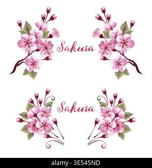 Zwei florale Monogramme von rosa, üppig blühenden Frühlingsakura auf weißem Hintergrund. Rosafarbene japanische Kirschblüten. Stock Vektor