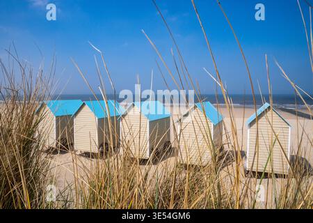 Strandhütten aus cremefarbenem Holz mit blauen Dächern in Bredene. Die Bauwerke sind auf schwarzen Rädern montiert und auf goldenem Sand zwischen Dünen angeordnet. Im Stockfoto