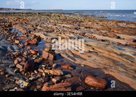 Spittal Beach, Berwick on Tweed, Northumberland - Felsschichten Stockfoto