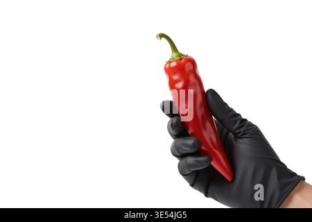 Professionelles Foto einer Hand mit Handschuhen, die einen leuchtenden roten Chilischoten hält und dessen Textur und Form mit diffusem Licht zeigt. Stockfoto
