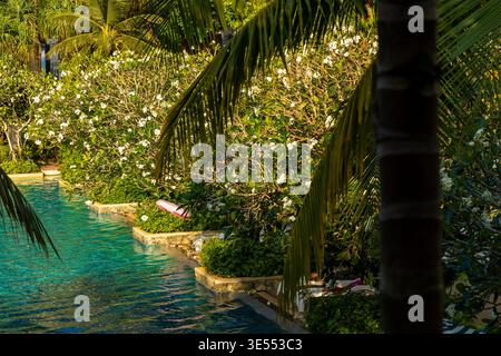 Tropischer Pool umgeben von Palmen und Blumen, Blick auf den Garten des Resorts. Konzept: Luxuriöser tropischer Urlaub Stockfoto