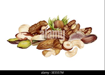 Gemischte Nüsse mit Muscheln und Kernen handgezeichnete Aquarellzeichnung Illustration. Lebensmittelzutaten-Set für Verpackung, Menü, Etikett, Textildruck, Postkarte, Verwendung von Branding und Produktdesign. Stockfoto