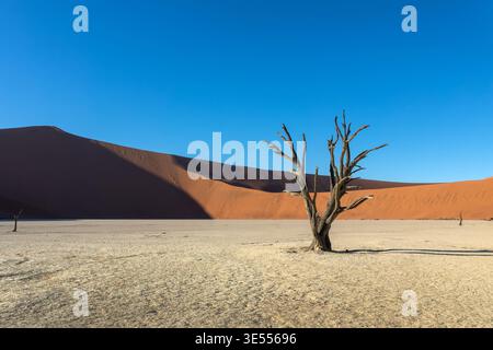 Deadvlei (oder Dead Vlei), tote Bäume und Sanddünen in Sossusvlei, Namib Naukluft Nationalpark, Namibia malerische Landschaft, Afrika Stockfoto
