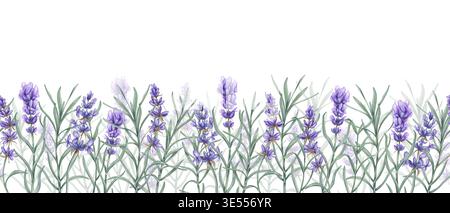 Horizontales, nahtloses Banner mit Lavender auf isoliertem Hintergrund. Aromatische lila Blüten mit grünen Blättern, die sich wiederholen. Stockfoto