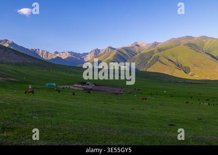 Mehrere Tiere wie Pferde, Kühe, Schafe und Ziegen weiden friedlich auf einer grasbewachsenen Wiese. Ein kleiner Bauernhof mit blauer Plane ist vor einer ruhigen Bergkulisse zu sehen. Stockfoto