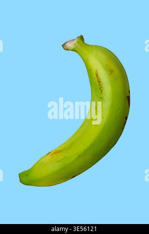 Minimale flache Bananenlage auf modernem Hintergrund mit sauberem Raum und sanfter natürlicher Beleuchtung Stockfoto