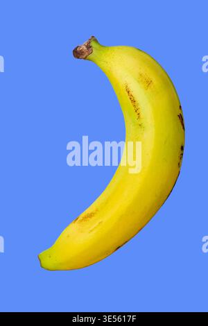 Minimale flache Bananenlage auf modernem Hintergrund mit sauberem Raum und sanfter natürlicher Beleuchtung Stockfoto
