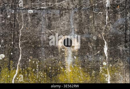 Alte Betonwand mit Rissen, Strukturen und grünem Moos Stockfoto