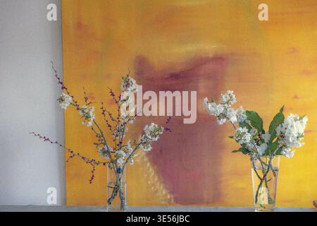 Zwei Glasvasen mit blühenden weißen Kirschblütenzweigen (Prunus), die vor einem strukturierten orangen abstrakten Kunsthintergrund angeordnet sind. Stockfoto