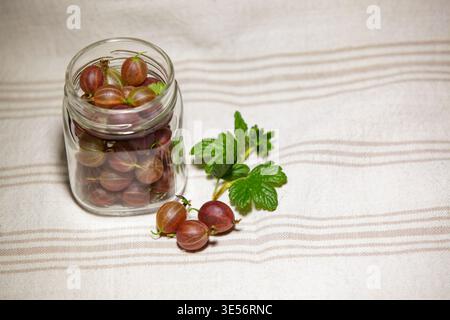 Frische rote Stachelbeeren im Glas und auf einer Leinentischdecke, gesundes Sommeressen. Stockfoto