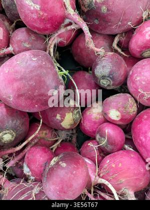 Nahaufnahme Rote Rüben, Runde Erdwurzeln Mit Schwachen Bodenspuren, Rustikale Textur, Ideal Zum Rösten, Entsaften Und Beizen Stockfoto