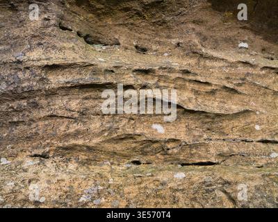 Detaillierte Nahaufnahme von verwittertem Millstone Grit in Yorkshire, UK, mit geschichteten Steinmustern und erdigen Tönen, ideal als natürlicher Hintergrund oder Geologiebild Stockfoto