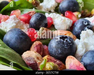 Ein Makrofoto aus nächster Nähe eines frischen, bunten Salats mit prallen Heidelbeeren mit natürlicher Blüte und Textur, hellrotem Granatapfel Stockfoto