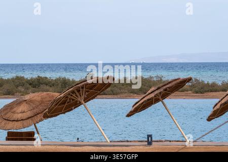 Strohschirme am Strand im Sheraton Miramar Resort mit Rotem Meer und Mangroven, El Gouna, Ägypten Stockfoto