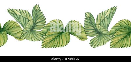 Nahtloser Blattrand. Ein horizontales Muster grüner Blätter Erdbeeren. Eine nahtlose Illustration von Laubbeeren für Etiketten Stockfoto