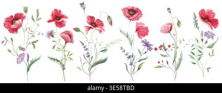 Aquarellmohn und nahtlose Wildblumen. Horizontales Blumenmuster mit Kornblumen und Wiesenkräutern isoliert auf weißem Hintergrund. Stockfoto