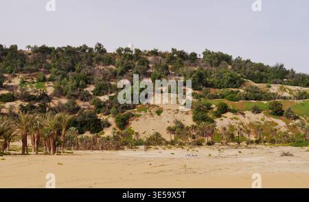 Düne hinter Liwa Fort, Abu Dhabi Emirate, Vereinigte Arabische Emirate, Januar 2024 Stockfoto