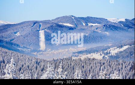Atemberaubende Winterlandschaft mit schneebedeckten Wäldern im Vordergrund, mit Skipisten und Dorf eingebettet zwischen verschneiten Hügeln und Bergen im Hintergrund. Die Szene wird von klarem blauem Himmel beleuchtet. Stockfoto