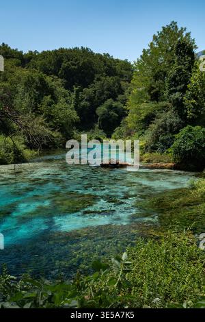 Kristallklares türkisfarbenes Quellwasser umgeben von üppigem Wald Stockfoto
