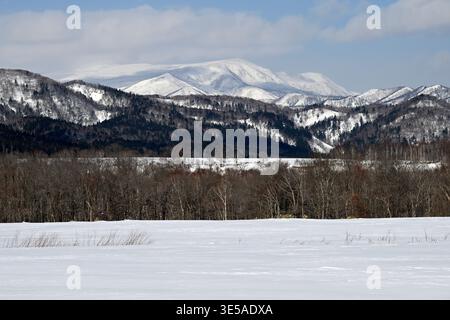Ländliche Landschaft im Schnee, Hokkaido Insel, Japan. Stockfoto