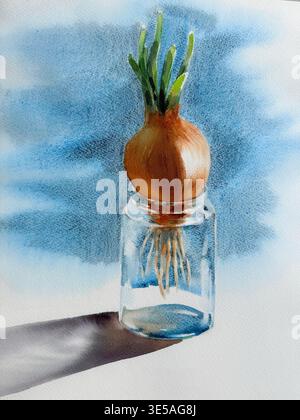 Eine Zwiebel in einer Glasflasche, realistisches Aquarellbild Stockfoto
