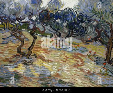 Olivenbäume, Olivenbäume, Gemälde von Vincent Willem van Gogh geb. 30. März 1853 in Groot-Zundert. 29. Juli 1890 in Auvers-sur-Oise, Niederländi Stockfoto