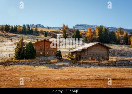 Rustikales Holzchalet auf Herbsthügel mit Kutsche, Lärchenwald auf der Seiser Alm bei den Dolomiten, Italien Stockfoto