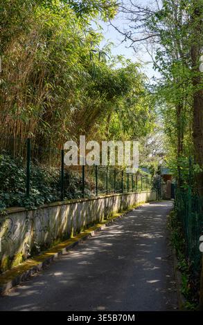 Schmaler Weg umgeben von üppiger grüner Vegetation und Bäumen mit Zaun und Sonnenlicht Schatten friedliche Natur städtischer Fußweg Konzept Stockfoto