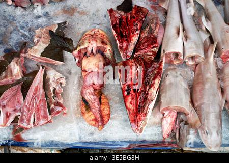 Auf einem Markt in Phu Quoc, Vietnam, werden verschiedene Arten von Meeresfrüchten auf Eis serviert. Diese Anzeige zeigt frischen Fang, der zum Verkauf bereit ist. Stockfoto