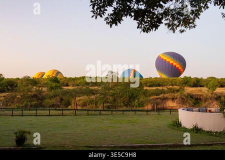 Heißluftballons bereiten sich auf den Flug über die Savanne bei Sonnenaufgang im Maasai Mara National Reserve Kenia vor Stockfoto