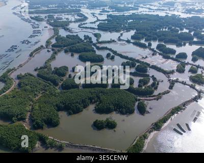 Das große Gewässer ist von Bäumen und Inseln umgeben. Das Wasser ist trüb und es gibt viele Boote, die darauf schwimmen. Die Szene ist friedlich und ruhig. Stockfoto