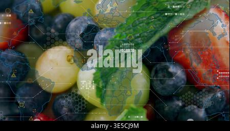 Zeigt Blaubeeren, Johannisbeeren und Erdbeerspitze mit Minzzweig und Wassertropfen im Studio HUD Stockfoto