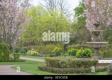Kirschblüten blühen im März, Regents Park, Springtime, London, England. Formelles Gartendesign. Stockfoto